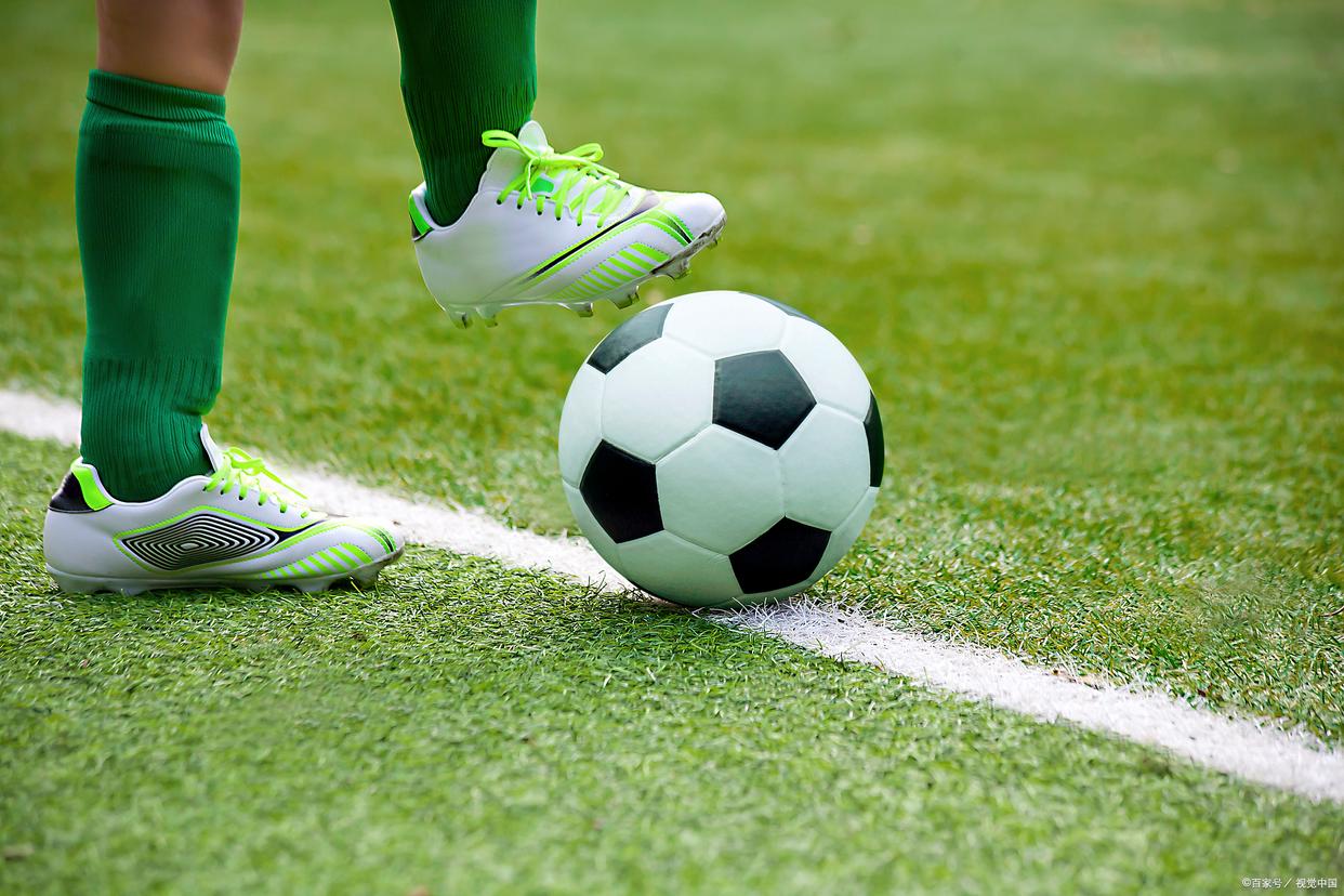 充分展现了 充分展现了