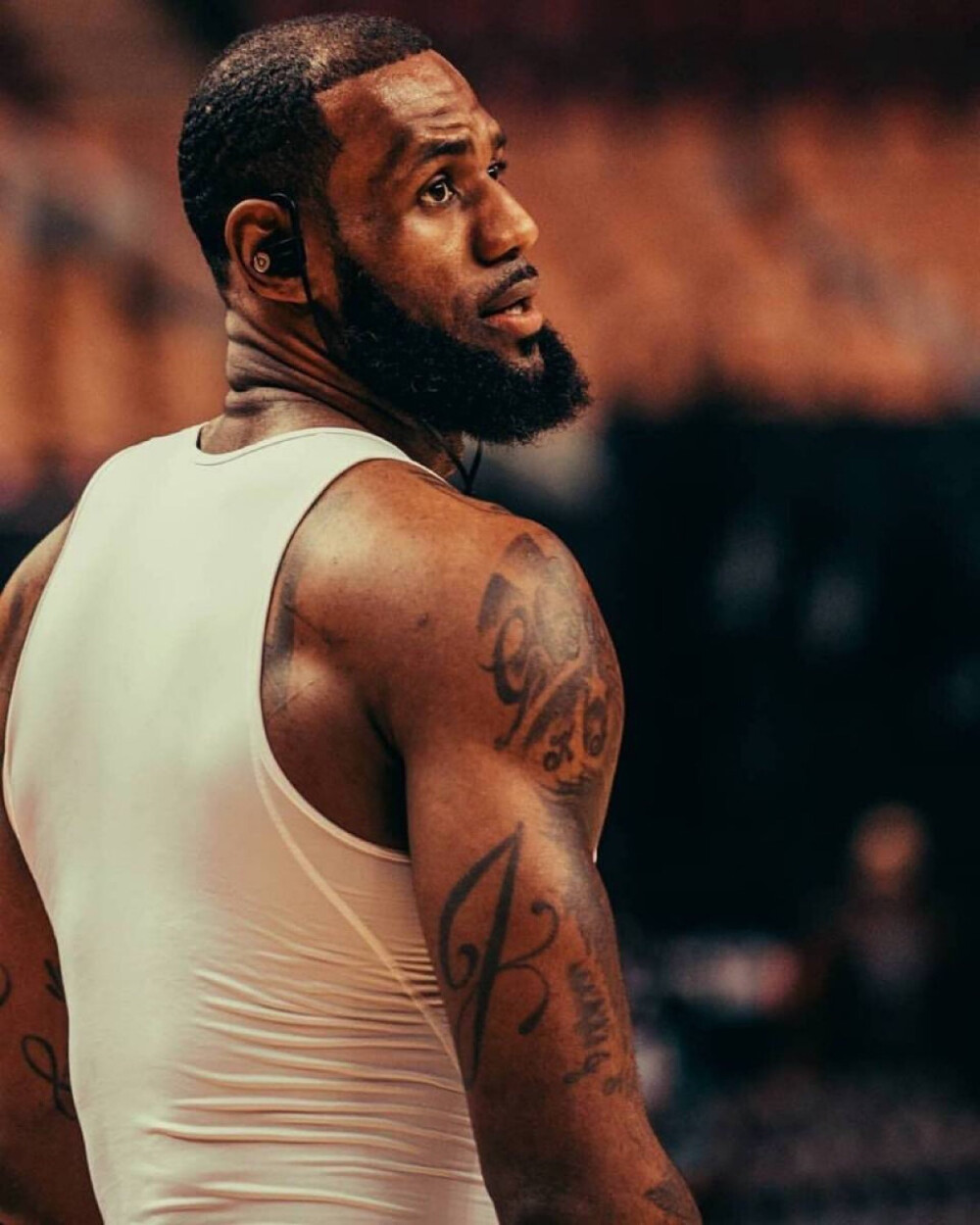 这样既抗风 这样既抗风